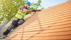 Best Roof Moss and Algae Removal  in East Berlin, PA